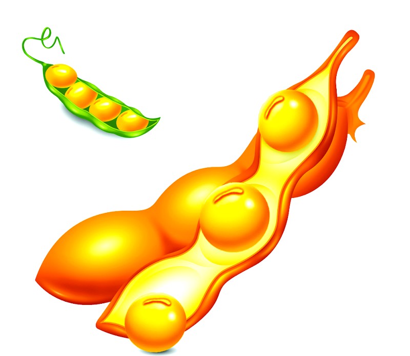 散装毛油遭淘汰,高品质大豆油获新生(图1) 成套大豆油精炼设备布置图