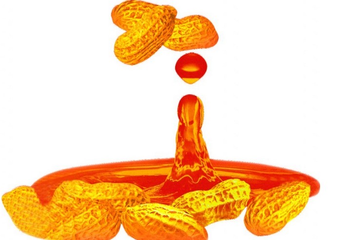 揭秘“浓香型”花生油工艺(图1) 花生油浸出设备