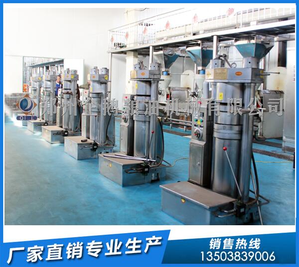 核桃油设备多少钱一套?企鹅粮油品质争胜(图1) 核桃油设备