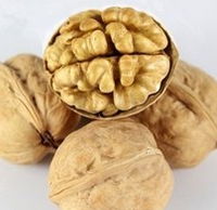 核桃油加工设备 核桃油成套榨油设备(图1)