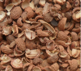 核桃油加工设备 核桃油成套榨油设备(图3)