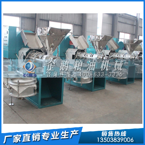 食用油生产加工设备，企鹅粮油机械为客户提供周到服务