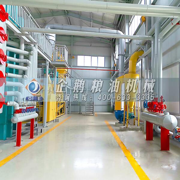 棉籽油浸出设备